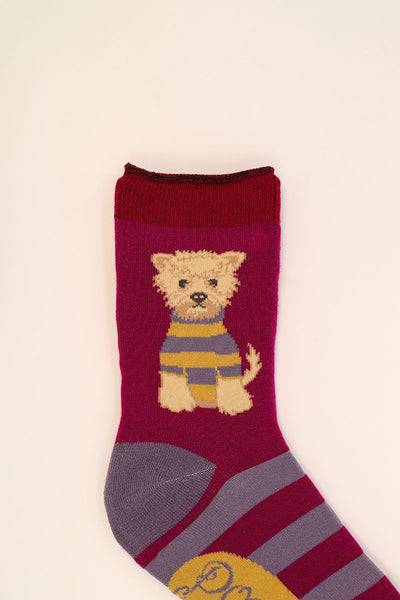 Socks - Wooly Westie